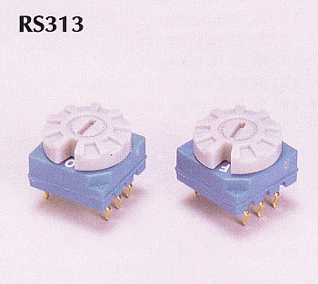 RS 313