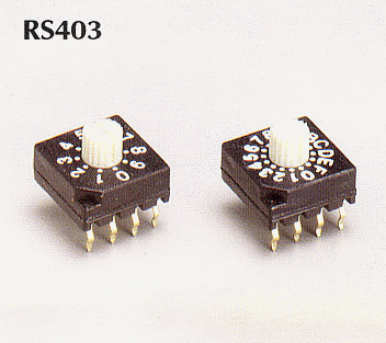 RS 403