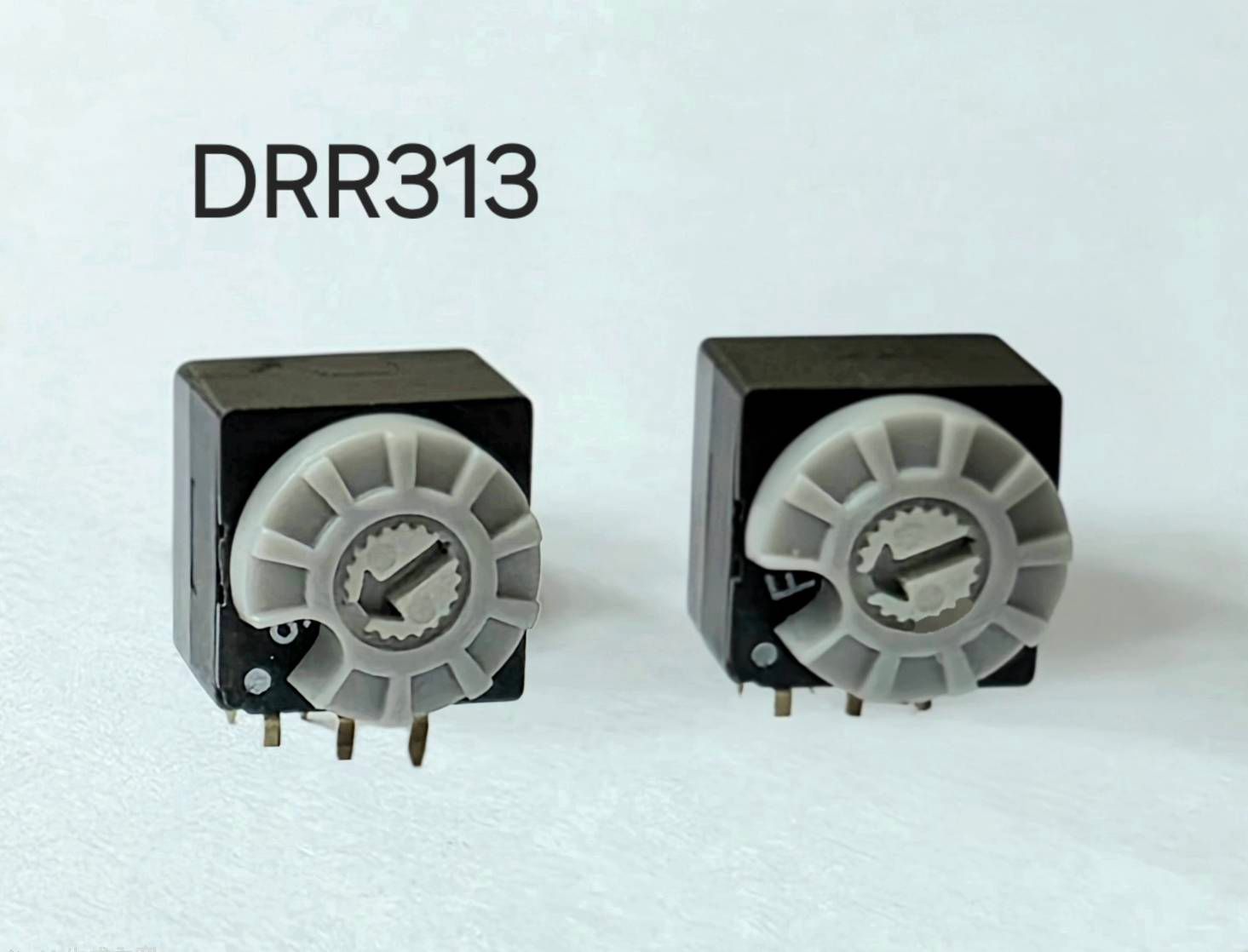 DRR313