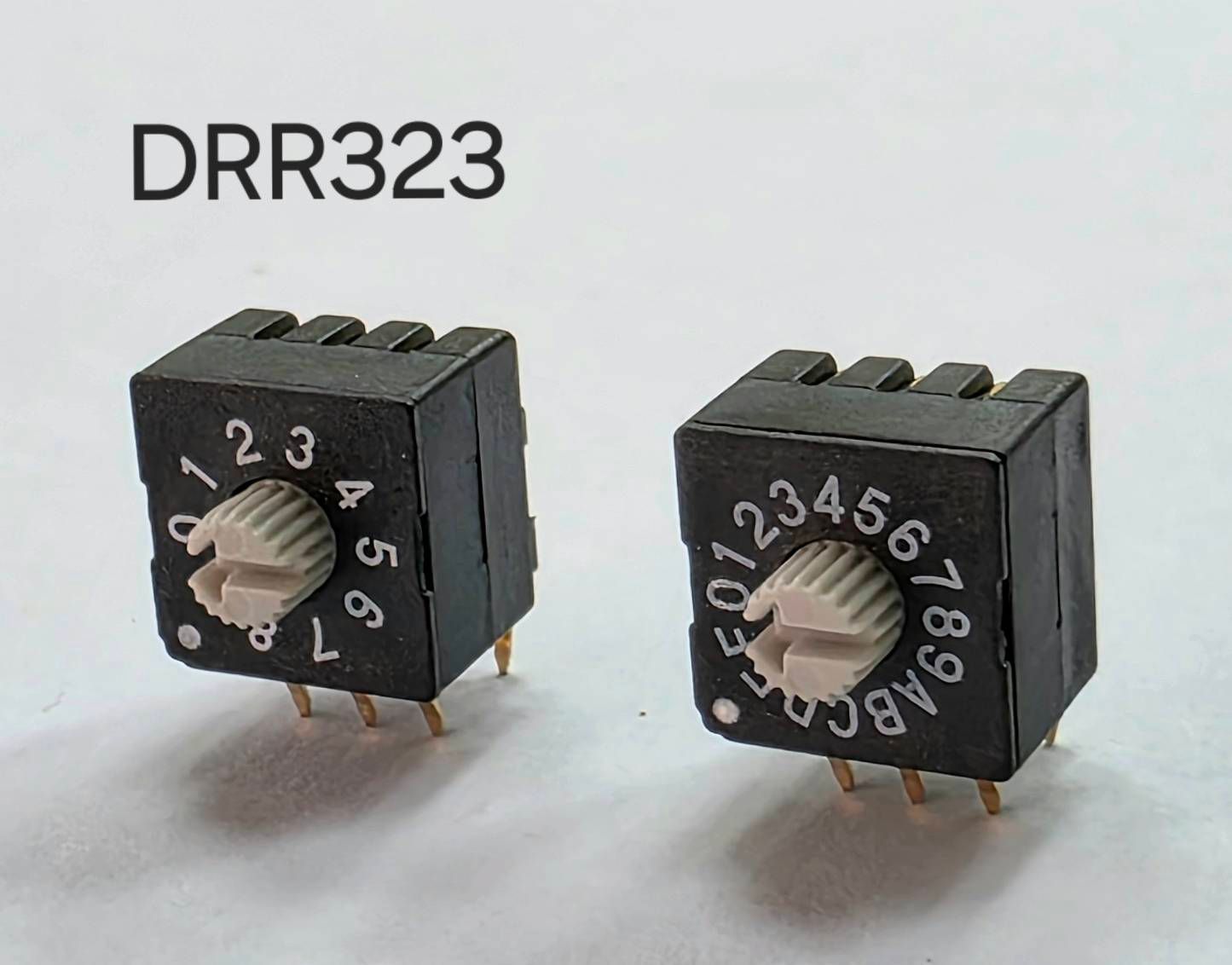 DRR323