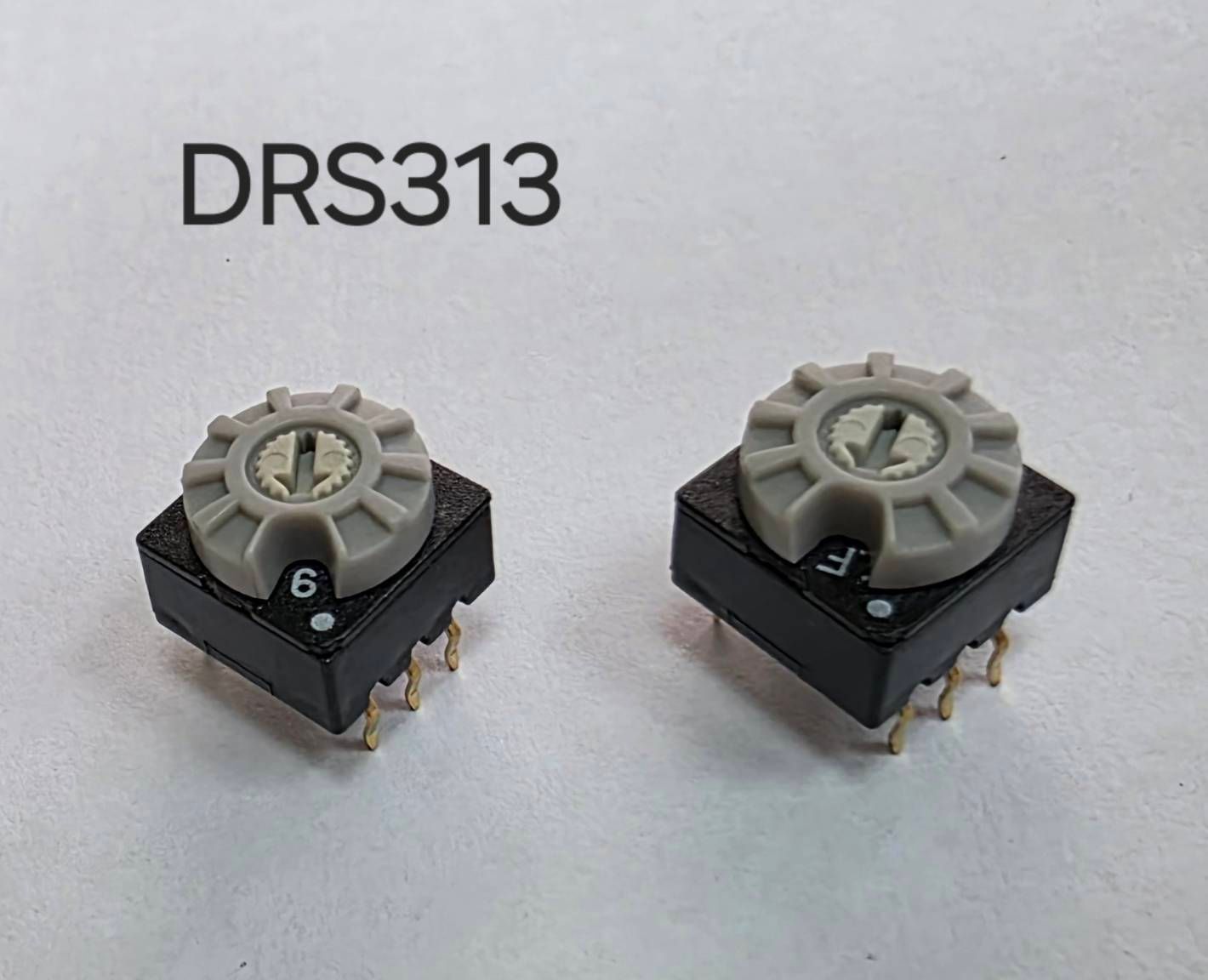 DRS313
